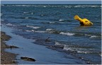 da &quot;il colore giallo&quot; particolare