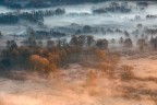 Misty dawn