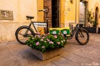 Bici insolita a Citt Di Castello