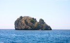 coniglio a mareeee!