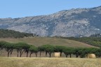 Sono arrivato ultimo al contest, quindi urgono suggerimenti. :-)

Non  molto nitida e forse ho sbagliato anche la messa a fuoco, ma non credo che sia questo il problema.

La classica idea di un panorama a fasce di colore, da schiacciare con un tele,  venuta fuori proprio cos male?