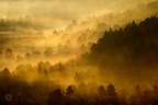 Dal mondo delle favole 1
