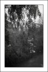 pianto d'Autunno ;/)