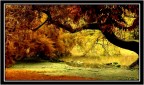 Al parco..  ..