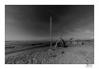 Spiaggia dei Tronchi