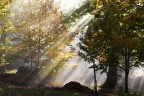 atmosfera autunnale