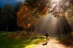 dentro la luce..