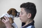Best friend -colore-