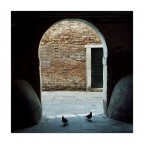 Venezia img.037