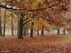 I colori dell'autunno