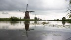 Kinderdijk 1/4