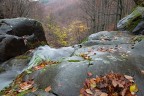 Autunno