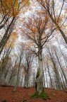Autunno 2