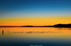 Alba