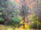 Gocce d'Autunno
