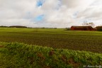 Field and farm