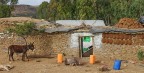 Il ciuco