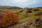 Colori d'Autunno Colori d'Autunno