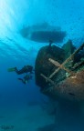 Relitto Elviscot - Isola d'elba.
Profondit 12 metri.