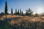 Colori di Puglia