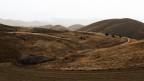 Campo Imperatore nella nebbia Campo Imperatore nella nebbia
