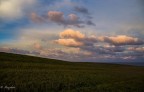 Scotland