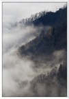 Nebbie sul crinale
