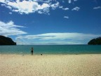 Tasman bay