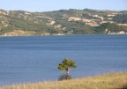 Primi scatti 300D