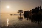 Oro di sera.