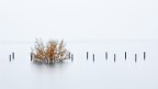High water signs