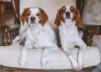 Diana e Luna
