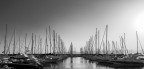 Alberi