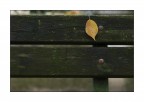 Autunno urbano