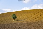 Due occhi non bastano per la Puglia