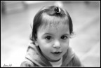elisea prove f/1.8