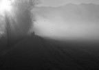 nebbia lungo l'Adda