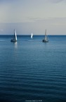 Immensit