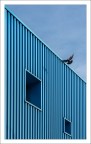 Blu 2