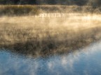 nebbiolina di prima mattina