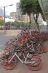 Mountain Bikes