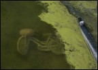 bici