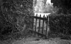 chi apre la porta di una scuola, chiude una prigione ;/)