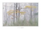 Other nature