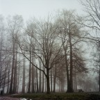 C' un uomo che cammina nella nebbia