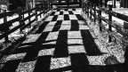 Luci ed ombre