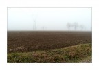 Monotonie padane - Nebbia elettrica