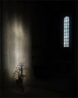 Luce magica