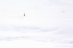 Passeggiando su un mare di neve