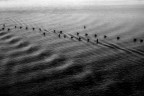 onde...